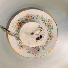 画像をギャラリービューアに読み込む, Choice D (18個SET)