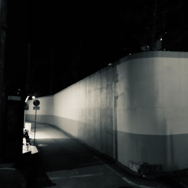 ２０１９年、冬の奇跡。
